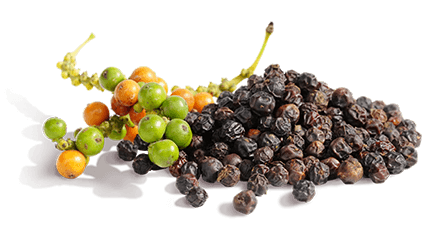 Đặc sản đảo ngọc